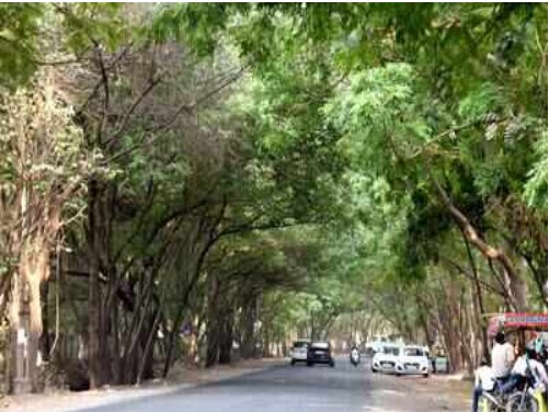 India likely to get greener despite climate change: IITM study
