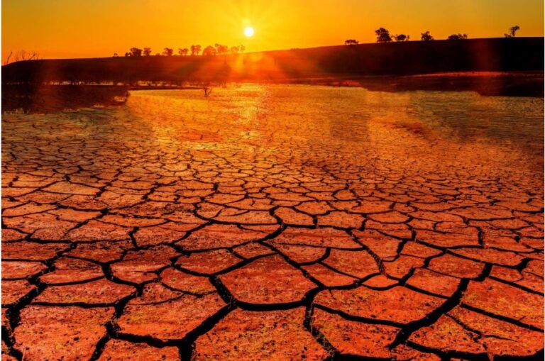 The Climate-Health Crisis Needs Money, Not More Declarations