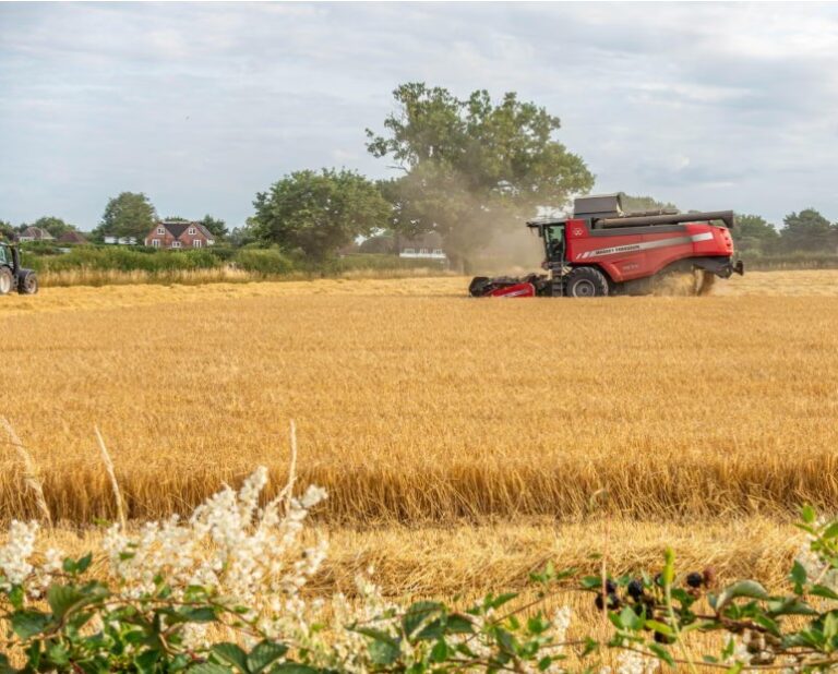 Food price fears after Europe’s heatwave destroys estimated €2bn of crops