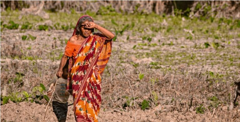 Heat plans must account for age and gender, says UN Women paper