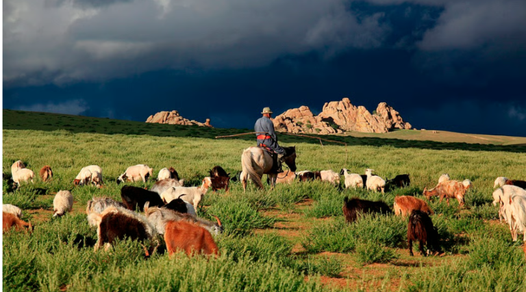 Climate Change Combat desertification COP17: Rangelands finally get a seat at the table
