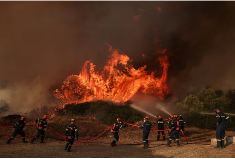 EU to push countries to invest in nature as wildfire costs spiral