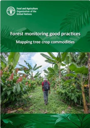 Forest monitoring good practices: mapping tree crop commodities