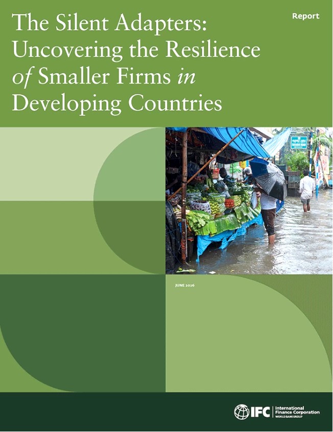 The Silent Adapters: Uncovering the Resilience of Smaller Firms in Developing Countries