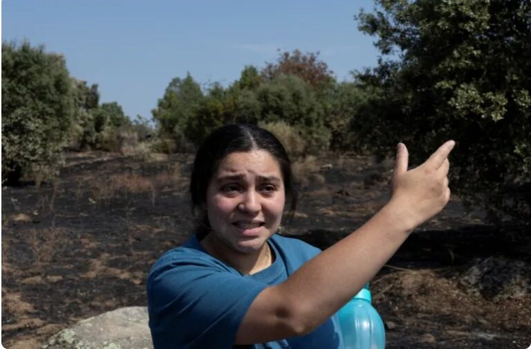 Dangerous summers: How heatwaves and wildfires change life across Europe