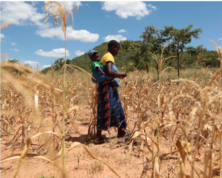 El Niño could push 50m people into acute hunger before end of next year