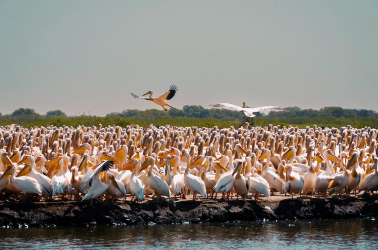 More than 380 coastal World Heritage Sites may face climate risks, new data shows