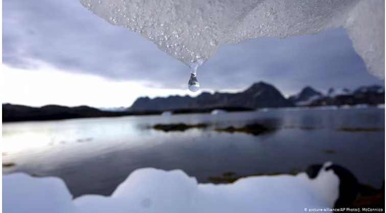 Antarctic ice melt drives record mercury levels into marine food chain: Study