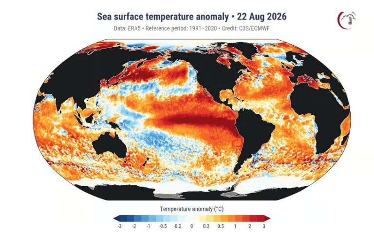 Global ocean records hottest day ever