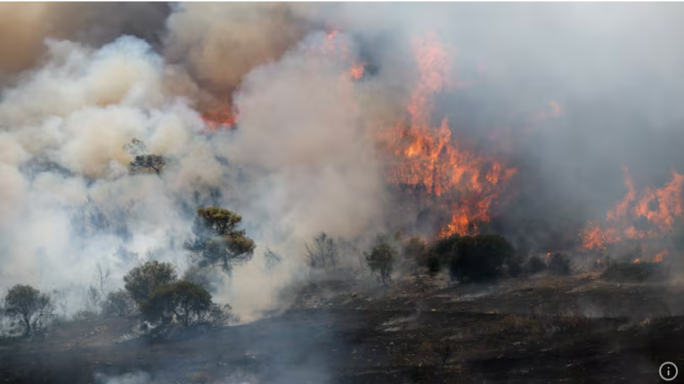 Area in Europe affected by wildfires could triple due to climate change