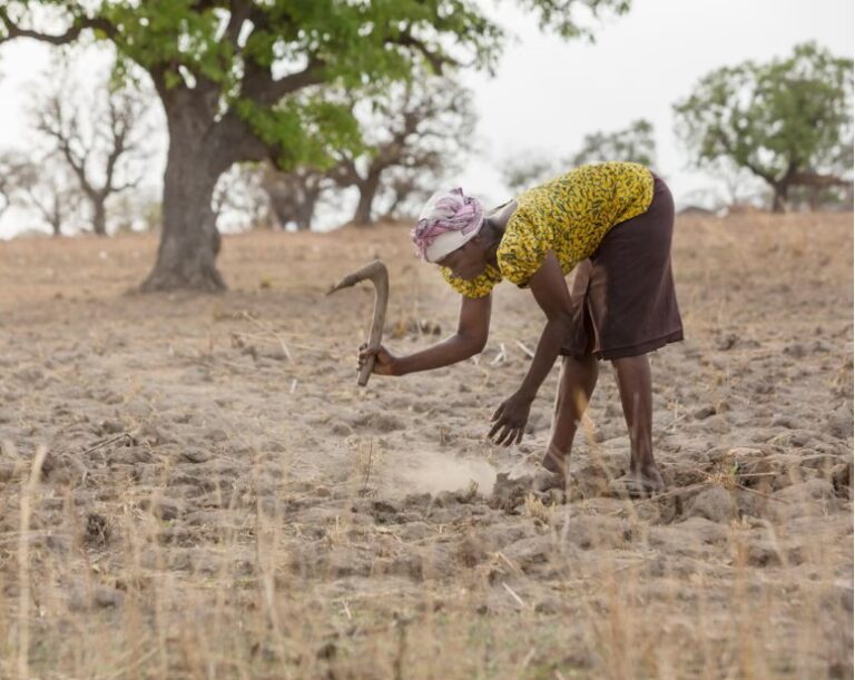 Spotlight on UN desertification summit as it mulls how to spend $12bn war chest