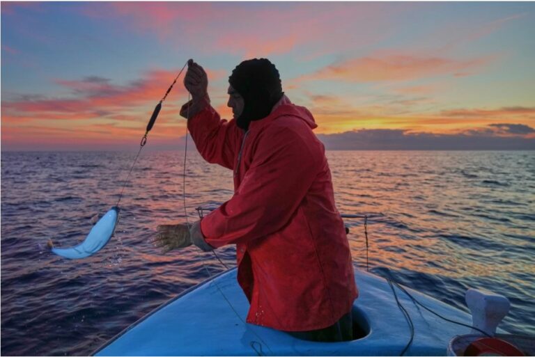 The Mediterranean’s warming waters are drawing hundreds of invasive species