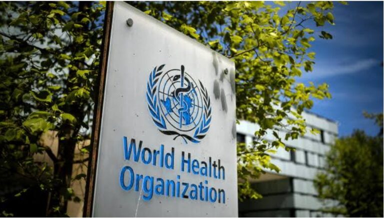 WHO Launches Global Climate, Migration Health Research Plan