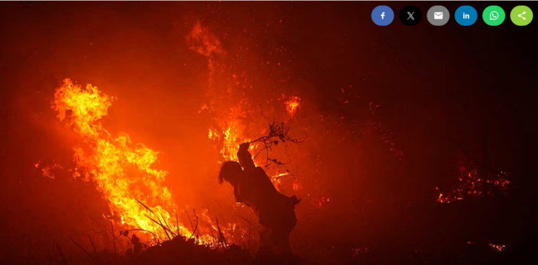 Natural emissions from warming ecosystems could amplify global heating by 30%, study finds