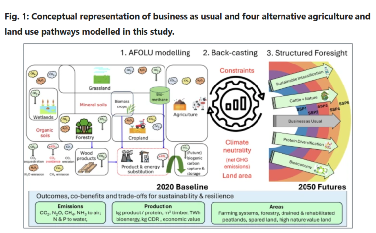 Strategic foresight provides insight into the resilience of climate-neutral farming transitions in a volatile world