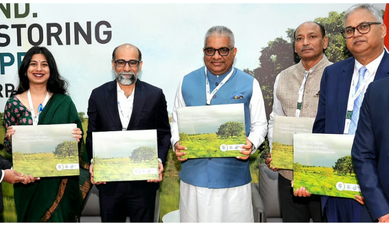India finally gives its ‘wastelands’ a name and a future