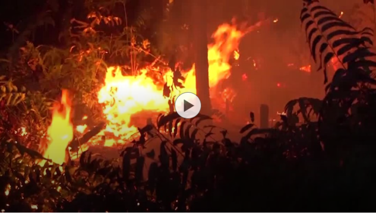 Indonesian wildfire emissions surge to world’s highest, data shows